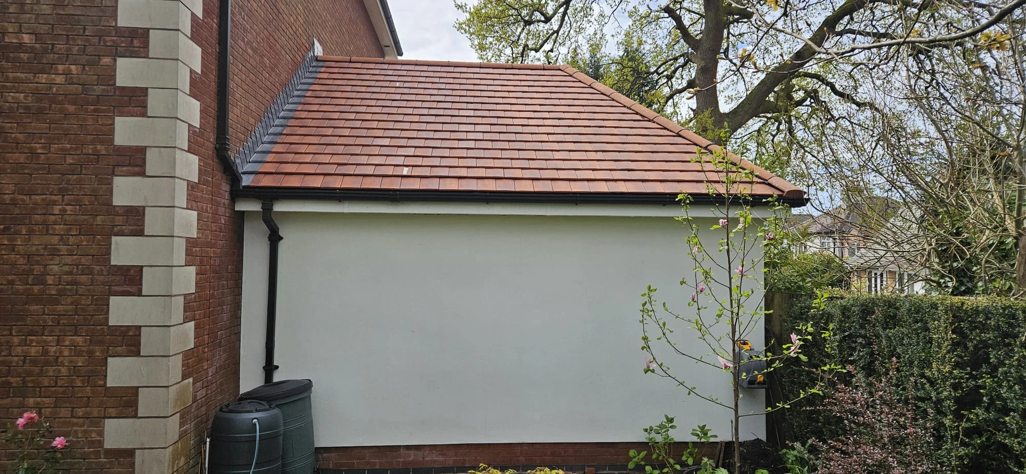 Fascia Cleaning