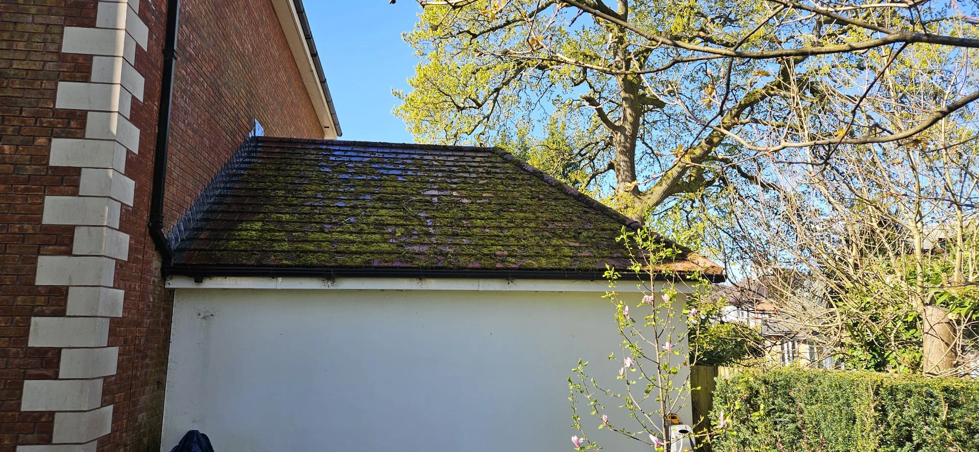 Fascia Cleaning