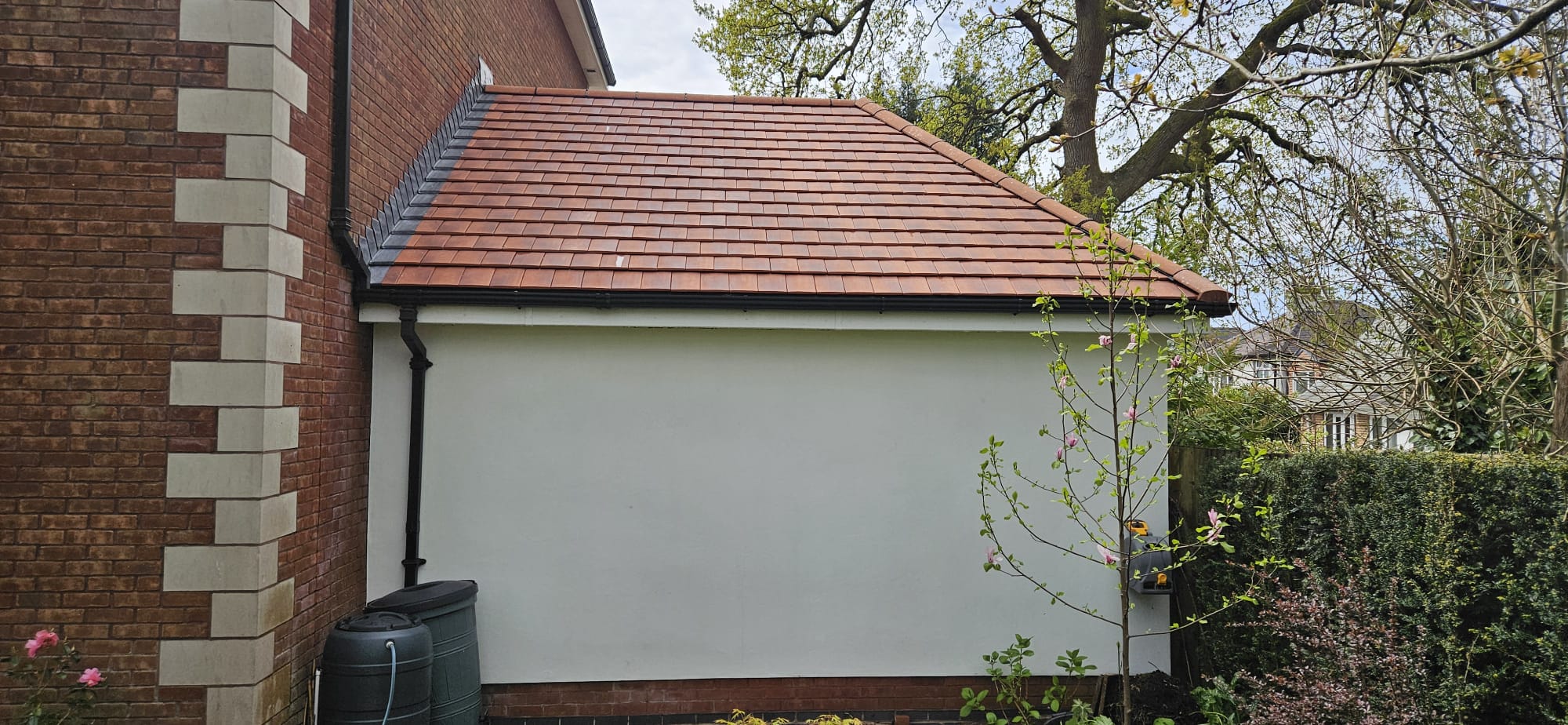 Fascia Cleaning
